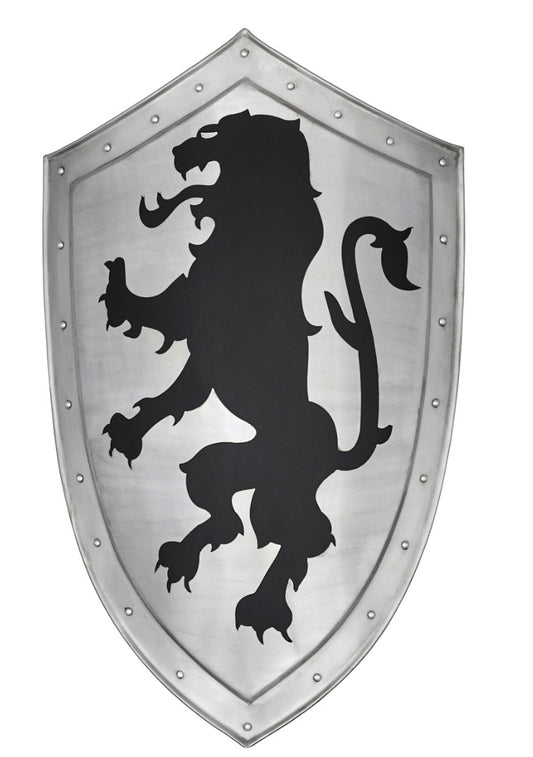 Dragon Crest Shield